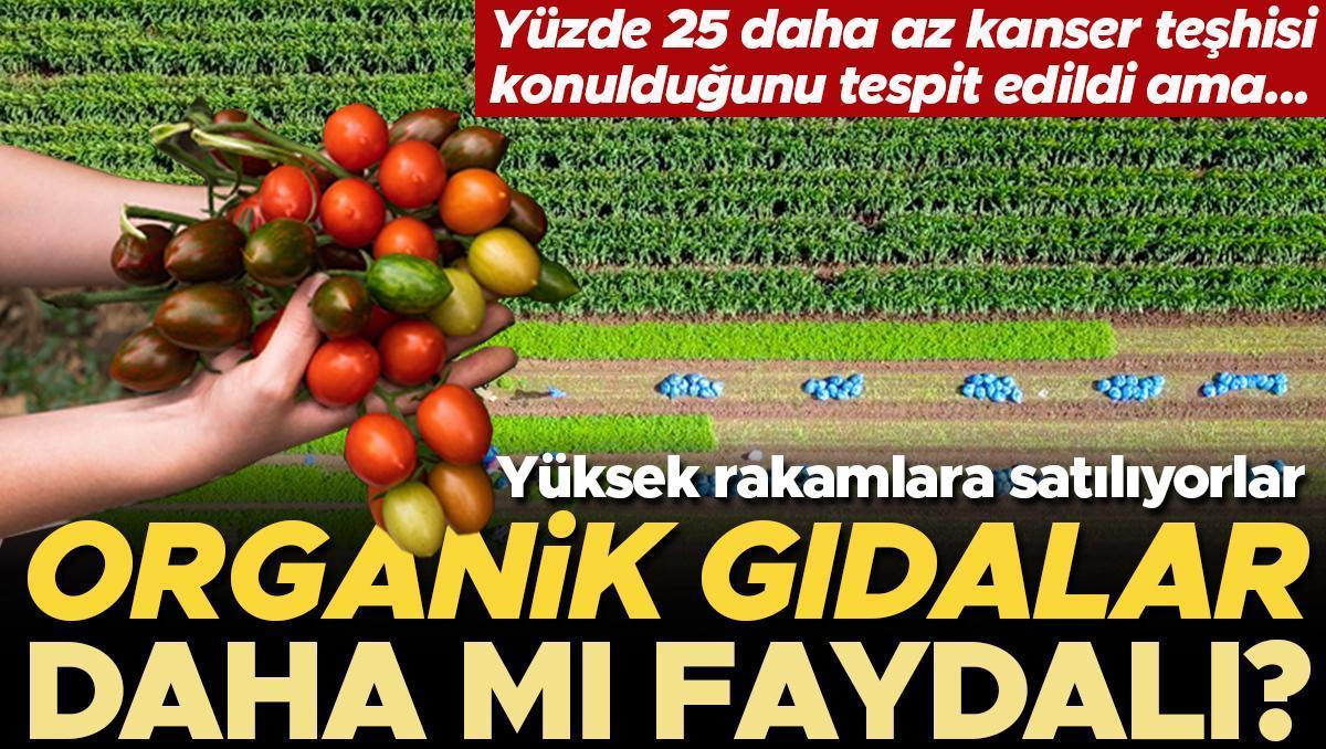 Artık her ürünün organiği var… Peki organik gıdalar gerçekten daha mı faydalı? Geleneksel yöntemle yetiştirilen ürünlerden ne farkı var?