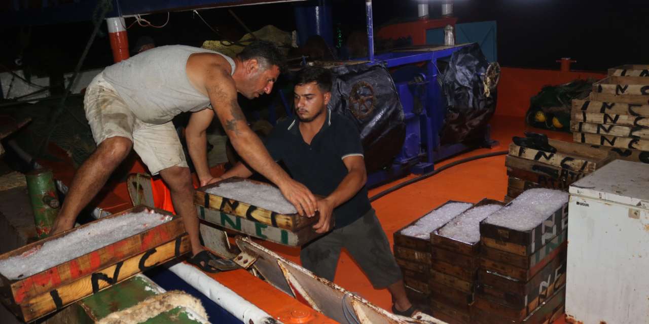 1 kilo parasina kasayla aldilar cesit cesit satildi 6619ZXOg