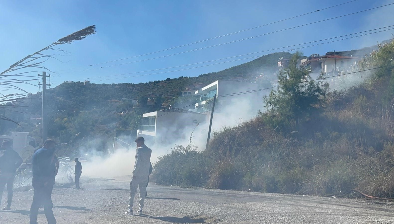 alanyada ormanlik alanda yangin I8Hhpfkc.jpg