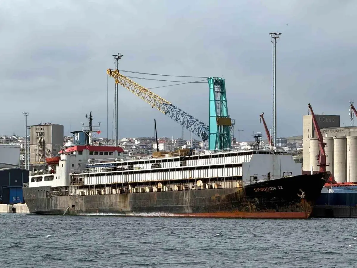 bandirmada ithal hayvan krizi Zs1XSEmR.jpg