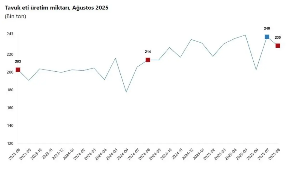 tuik agustosta tavuk eti uretimi dustu sut ve yumurtada artis qLsmxlT2.jpg
