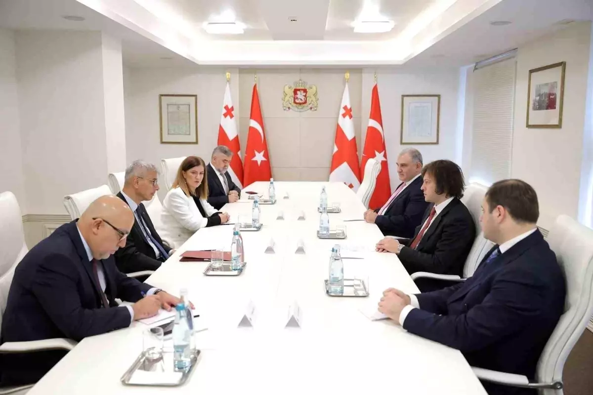 turkiye gurcistan saglik is birligi l2mGzcaD.jpg