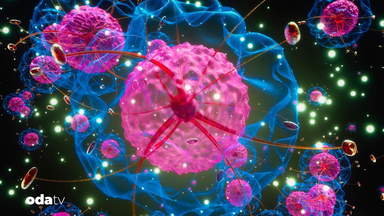 Kanserin sardığı iller belli oldu