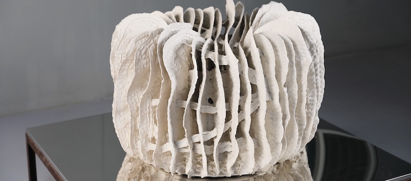 Dünya Turnesindeki Sanatçı Hsu Yunghsu Tariria’da, Van’da