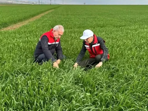 Araban’da Tahıl Alanları İnceleniyor