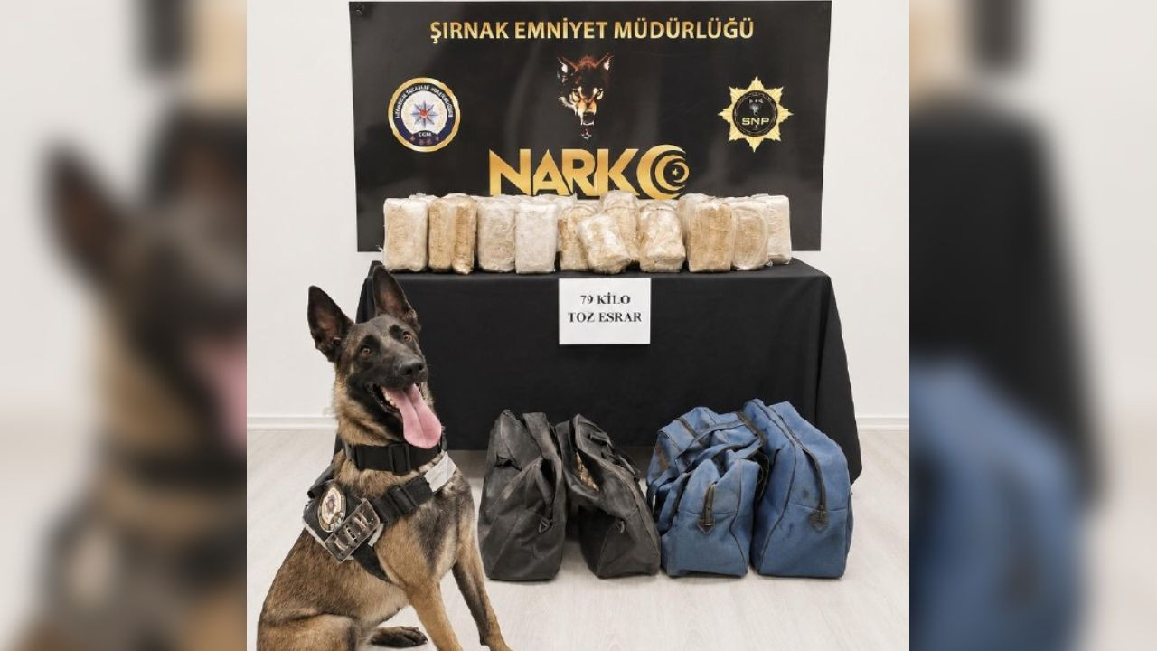 Şırnak’ta bir TIR’da 79 kilogram esrar bulundu