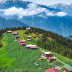 Likya ve karadeniz turlarina talep bu yil yuzde 40 artti I9XITqBm